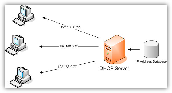 Dynamic Host Configuration Protocol Services